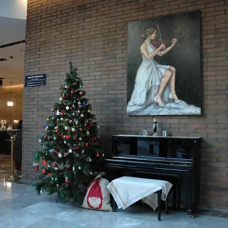 Bureau, Dedeman Otel Ve Residance *